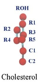 Coarse grained model for cholesterol