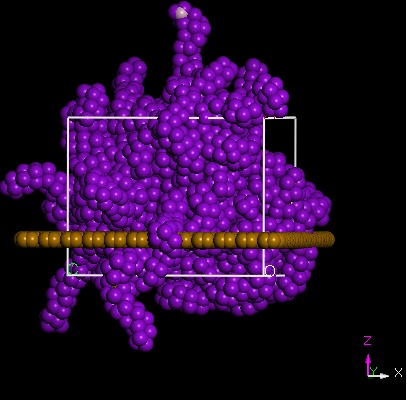 figure3.png