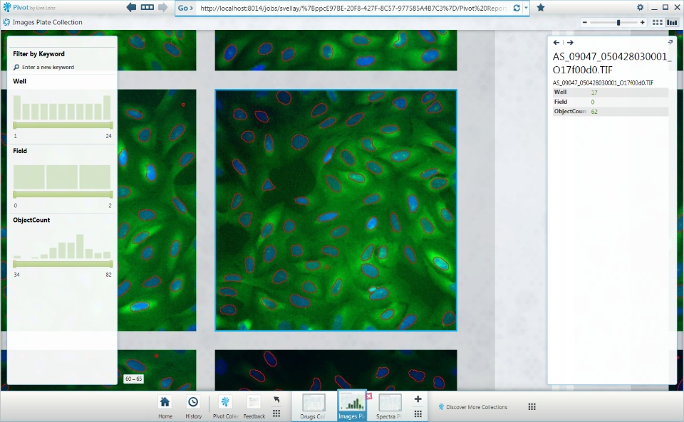 Microsoft Live Labs Pivot with Imaging Collection.png