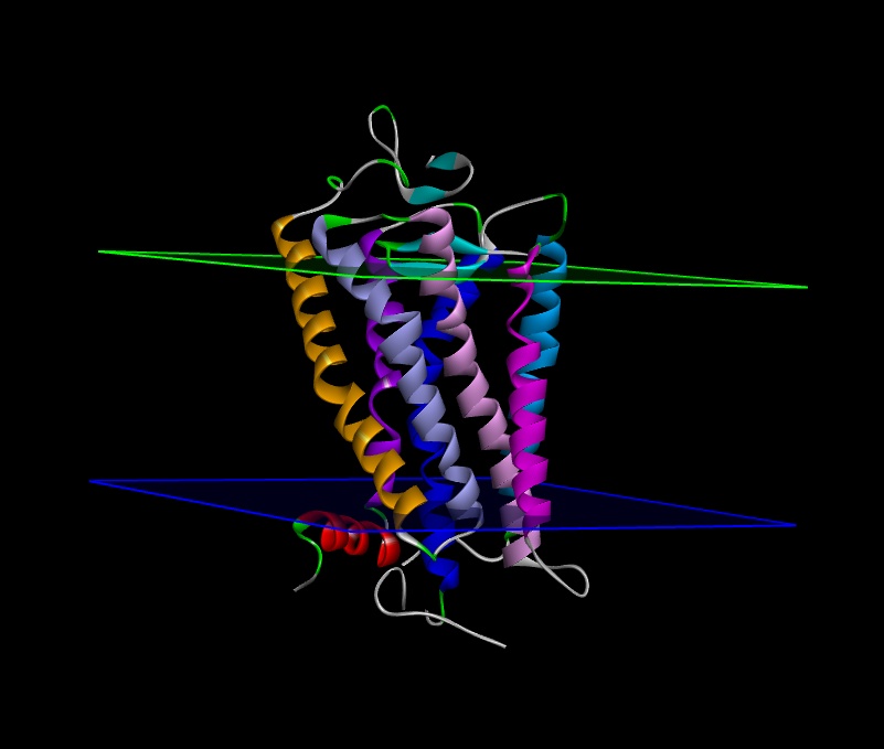 1f88.png